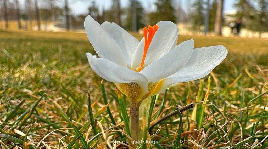 Гидрометцентр неожиданно изменил прогноз на конец февраля в Краснодарском крае