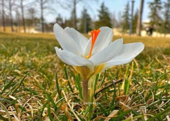 Гидрометцентр неожиданно изменил прогноз на конец февраля в Краснодарском крае