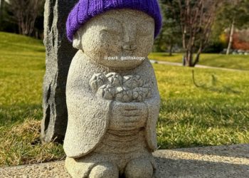 В Краснодаре февраль выдался аномально теплым. Когда похолодает?