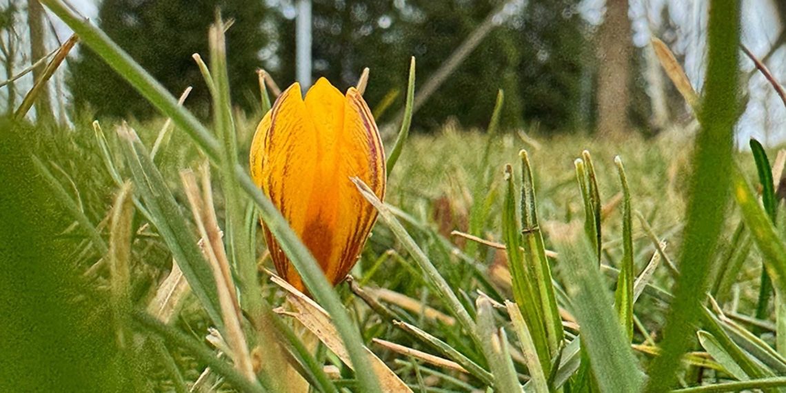 К концу недели синоптики прогнозируют на Кубани до +20