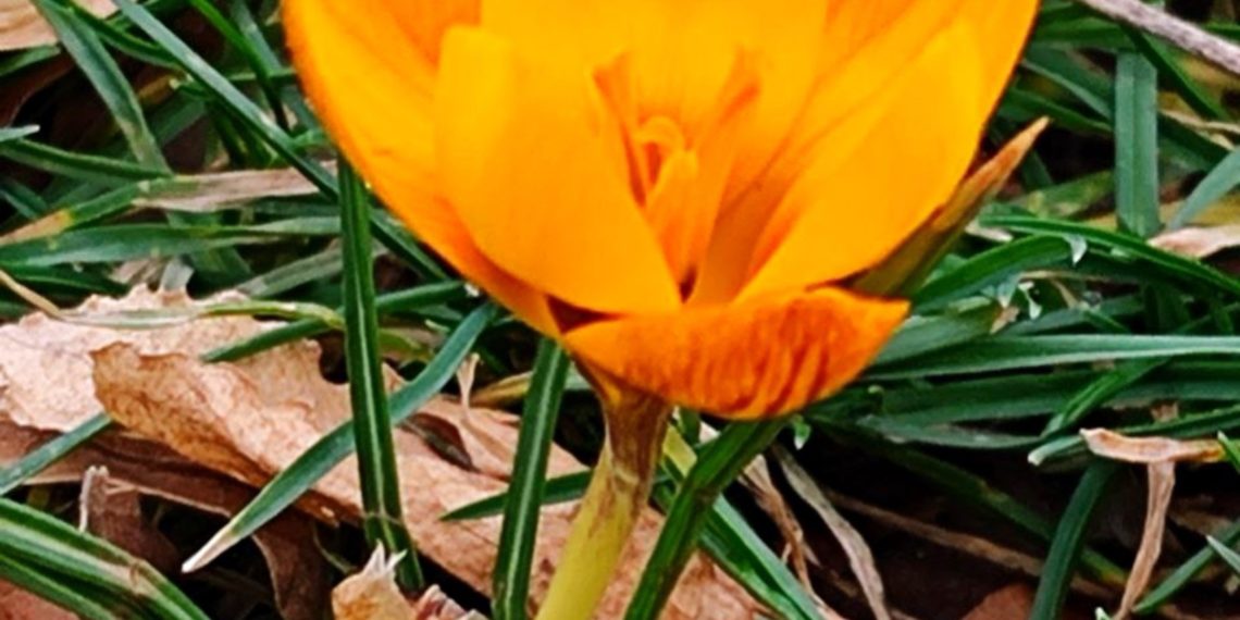 “Февральские окна захлопнутся”. Кубань поразит обвальное понижение температуры