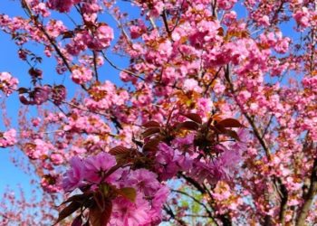 Аномальное похолодание накроет Россию. Что будет в Краснодарском крае?