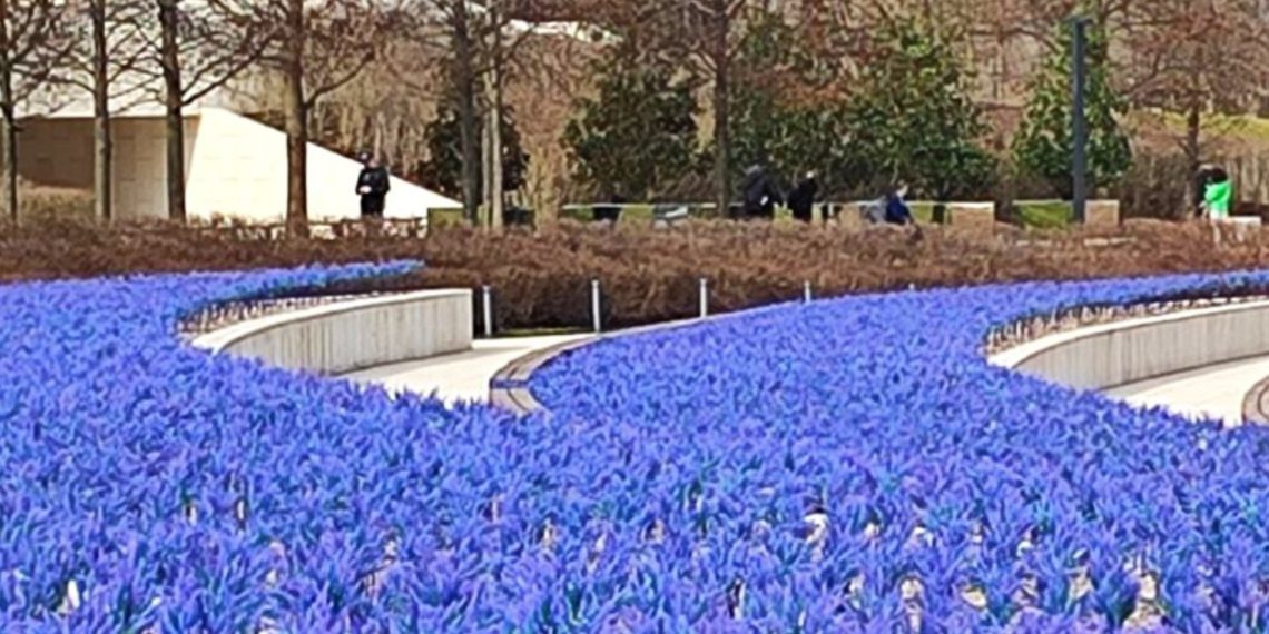 “Вторая часть февраля будет аномальная”. Прогноз погоды на Кубани