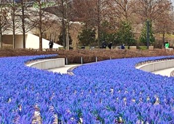 “Вторая часть февраля будет аномальная”. Прогноз погоды на Кубани