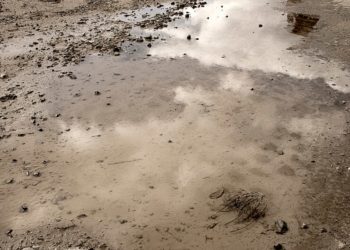 Жители Музыкального микрорайона Краснодара записали обращение к Бастрыкину