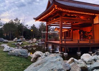 Стал известен способ попасть в Японский сад без лишних нервов и очередей