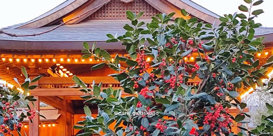 Синоптики назвали точную дату шикарного потепления в Краснодарском крае