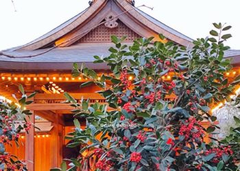 Синоптики назвали точную дату шикарного потепления в Краснодарском крае