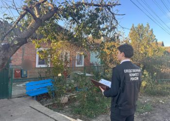 Зарезавший сына из-за оскорблений житель Кубани пойдет под суд