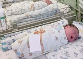 Минздрав: за сутки на Кубани родились шесть двоен