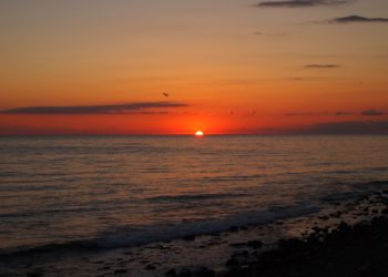 В Анапе нашли пропавшего 10-летнего ребенка