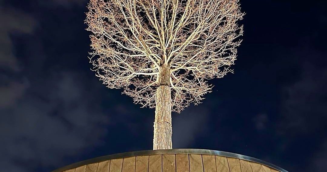 “Солнце и хороший плюс”: синоптики удивили прогнозом на начало апреля на Кубани