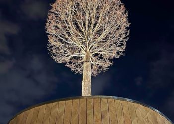 “Солнце и хороший плюс”: синоптики удивили прогнозом на начало апреля на Кубани