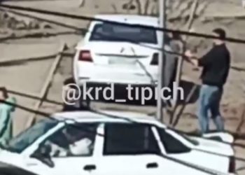 В Краснодаре мужчина выдирал из земли деревья и напал на женщину