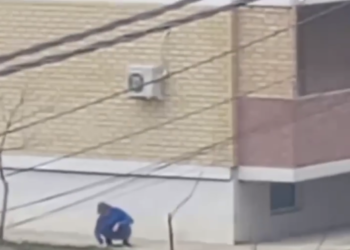 В Краснодаре во время акции «Расскажи, где торгуют смертью» дизайнеры роют землю