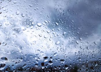 Наступит осень. Синоптики рассказали о погоде перед праздником 8 марта на Кубани