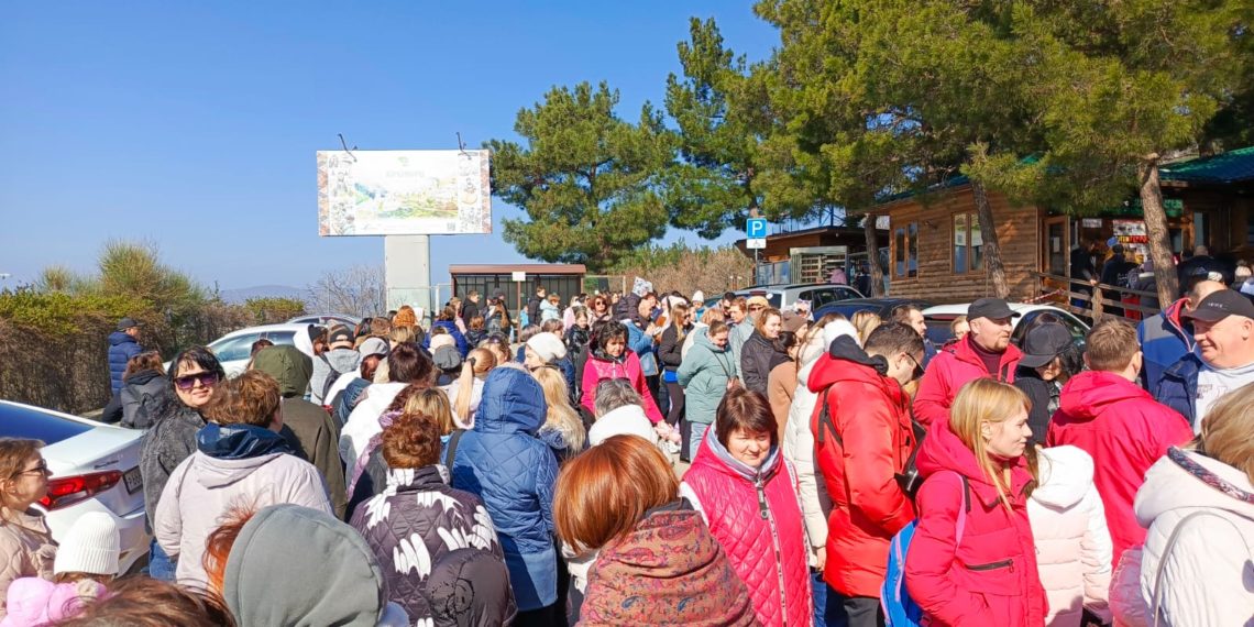 «Животные в очереди»: в Геленджике бесплатное посещение зоопарка привело к драке