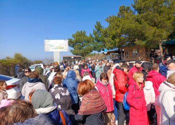 «Животные в очереди»: в Геленджике бесплатное посещение зоопарка привело к драке