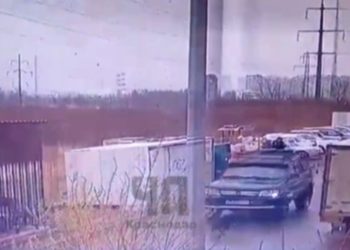 В Краснодаре водитель специально переехал собаку и оставил ее умирать