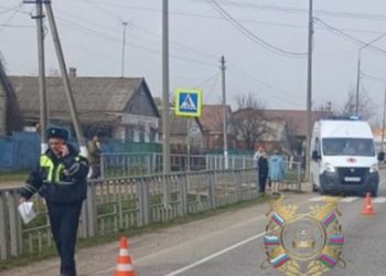 На Кубани водитель грузовика насмерть сбил 75-летнюю женщину и скрылся