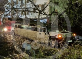 В Сочи дерево рухнуло на проезжающий лимузин Hummer