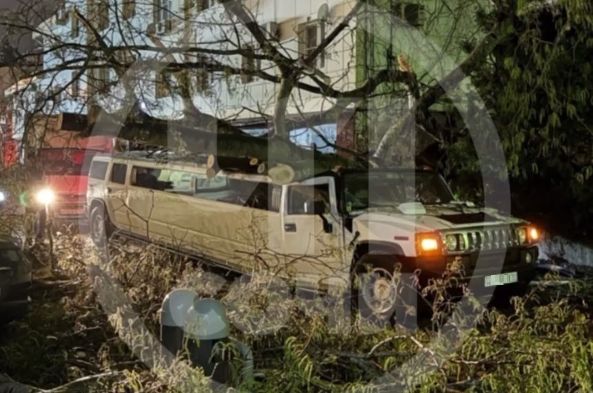В Сочи дерево рухнуло на проезжающий лимузин Hummer