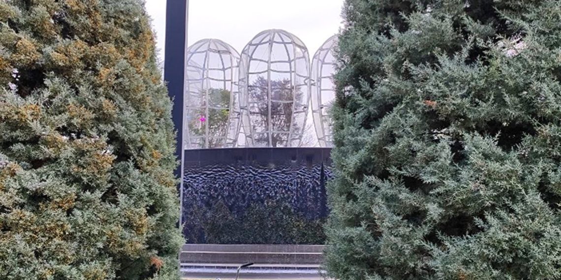 Затронет ли Кубань прогнозируемая климатологами рекордно сильная жара-2024