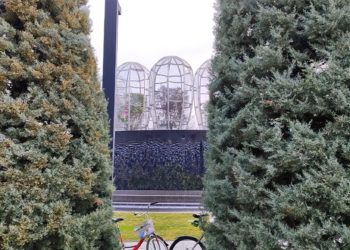 Затронет ли Кубань прогнозируемая климатологами рекордно сильная жара-2024