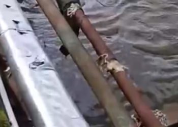 В Сочи нечистоты сливают в реку