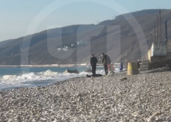 В Сочи на пляже из моря извлекли тело загадочно погибшего  мужчины