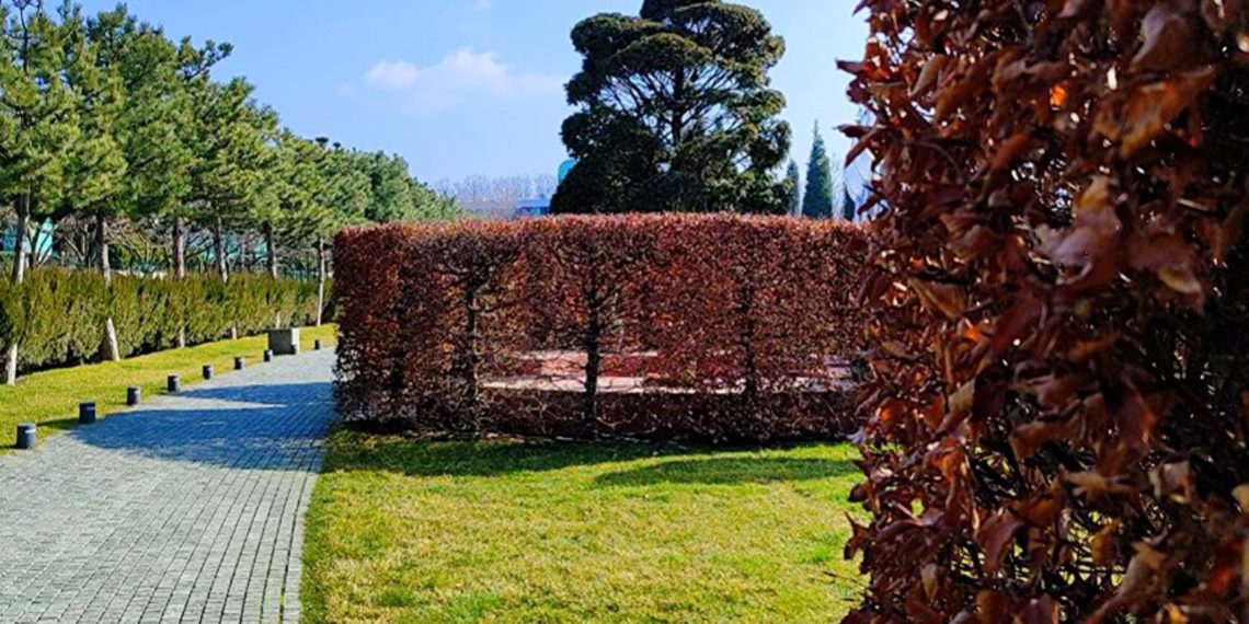 Синоптики: На погоде Кубани скажется влияние фронтальных разделов