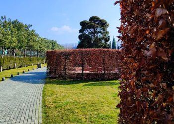 Синоптики: На погоде Кубани скажется влияние фронтальных разделов