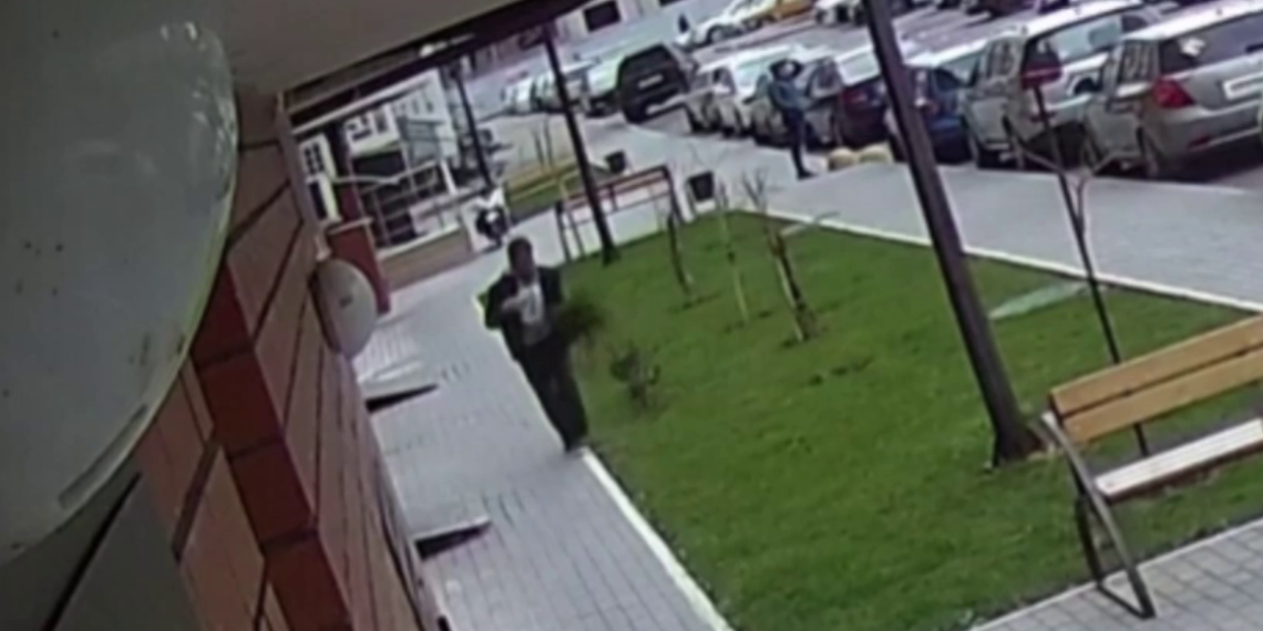 В Краснодаре “самшитовый” воришка попал на камеры видеонаблюдения