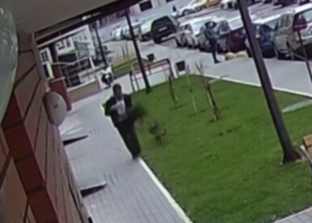 В Краснодаре “самшитовый” воришка попал на камеры видеонаблюдения