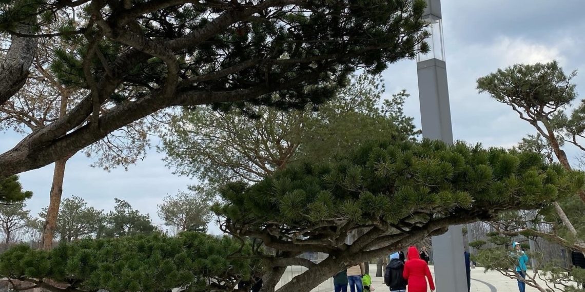 «Погода — не сахар». В Краснодарском крае резко похолодает и пойдет мокрый снег