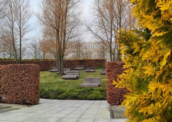 Самую «завидную» погоду в выходные синоптики прогнозируют в Краснодарском крае