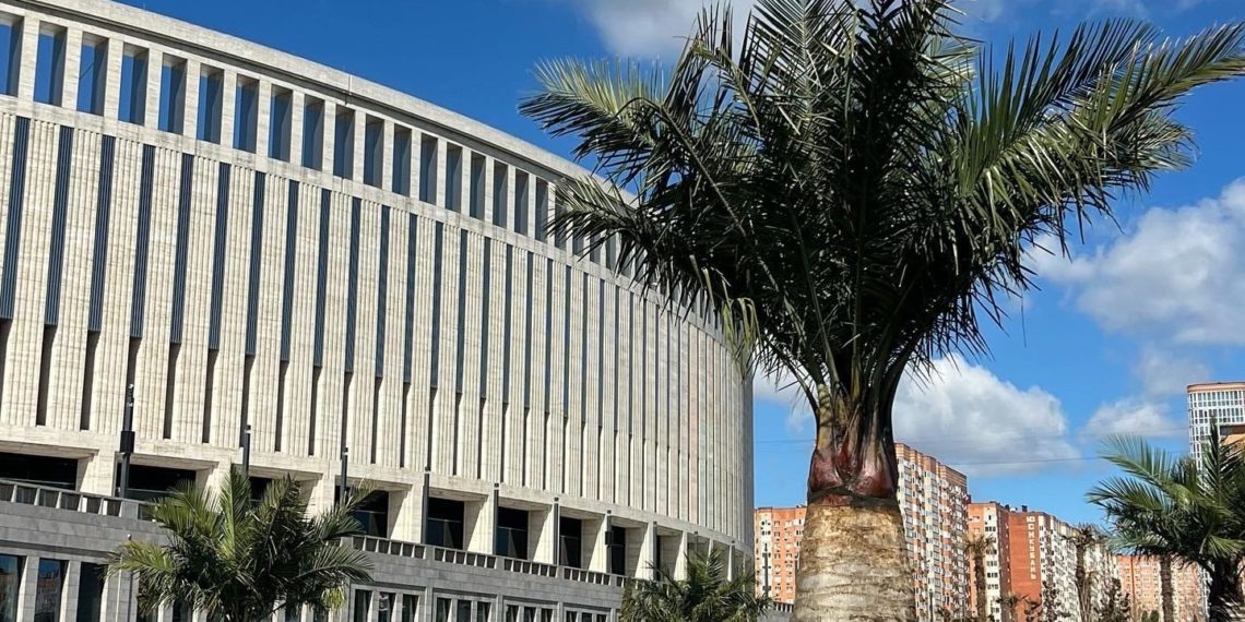 “Похолодание пойдет, как лавина”: прогноз погоды на начало апреля на Кубани