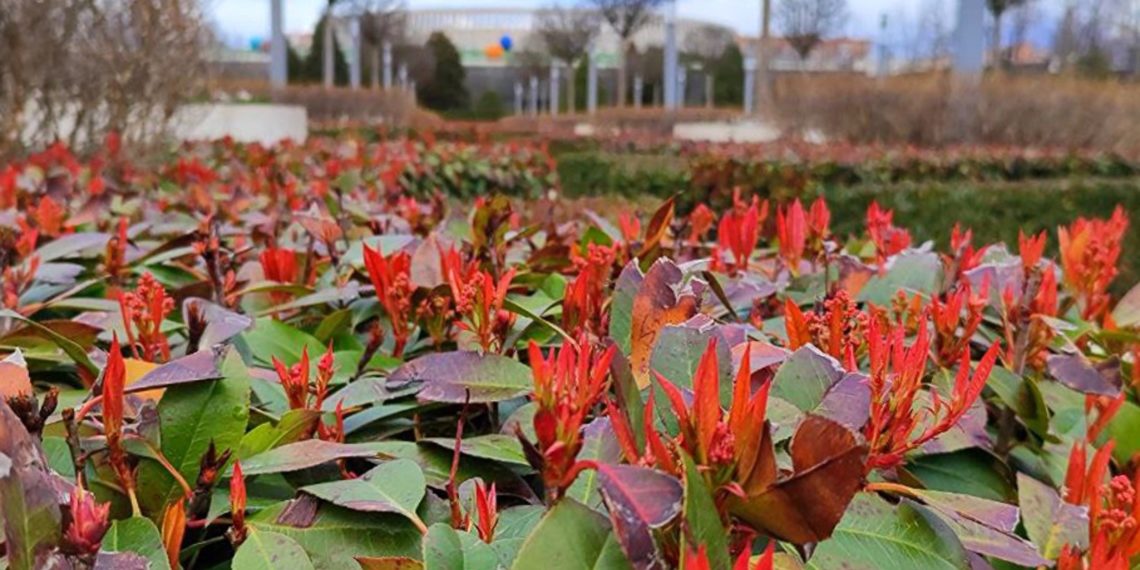 Синоптики составили прогноз погоды на 27 марта 2024 года в Краснодарском крае