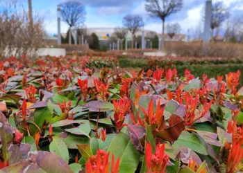 Синоптики составили прогноз погоды на 27 марта 2024 года в Краснодарском крае