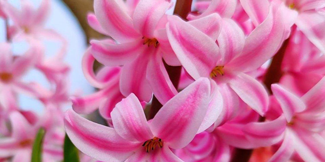 Синоптики выделили самый теплый день на этой неделе на Кубани