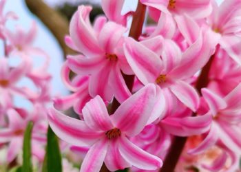 Синоптики выделили самый теплый день на этой неделе на Кубани