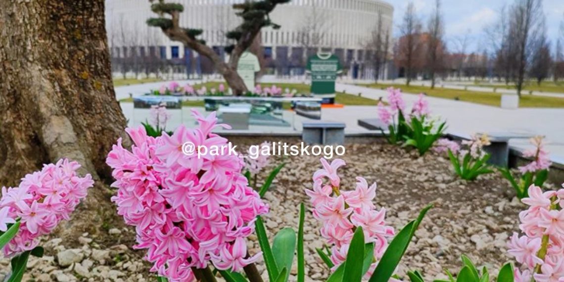 Метеоролог Шувалов спрогнозировал повышение температуры на Кубани с пятницы