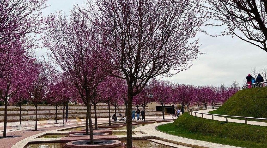 Стал известен прогноз погоды на начало новой недели на Кубани