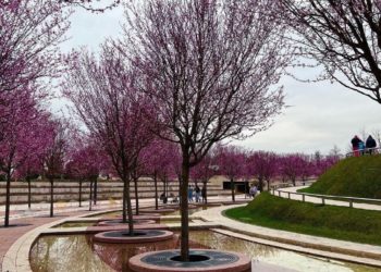 Стал известен прогноз погоды на начало новой недели на Кубани