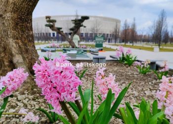 Метеоролог Шувалов спрогнозировал повышение температуры на Кубани с пятницы