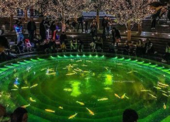 «Минус ночью и небольшой плюс днем»: синоптики рассказали о погоде на Кубани