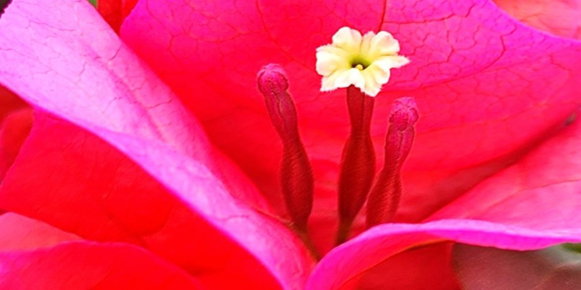 Синоптики рассказали, когда в Краснодарском крае потеплеет до +23. Скрин