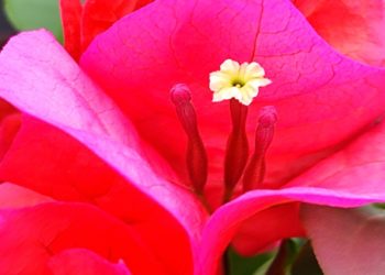 Синоптики рассказали, когда в Краснодарском крае потеплеет до +23. Скрин