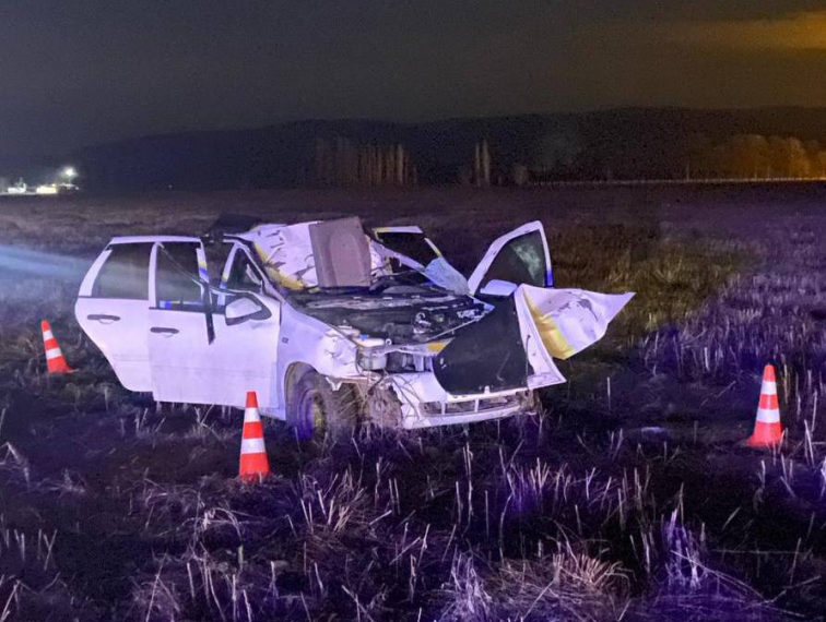 В Адыгее девушка погибла после столкновения «Лады» с лошадью