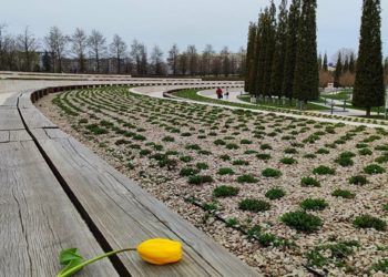 «Ночью и утром дождь»: каким будет предпоследний день марта на Кубани